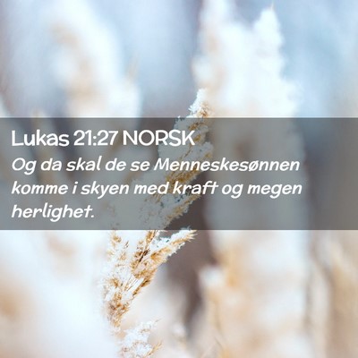 Picture 02 - Lukas 21:27 NORSK - Og da skal de se Menneskesønnen komme i skyen - Bible Verse Picture
