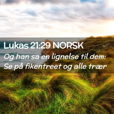 Picture 02 - Lukas 21:29 NORSK - Og han sa en lignelse til dem: Se på fikentreet - Bible Verse Picture