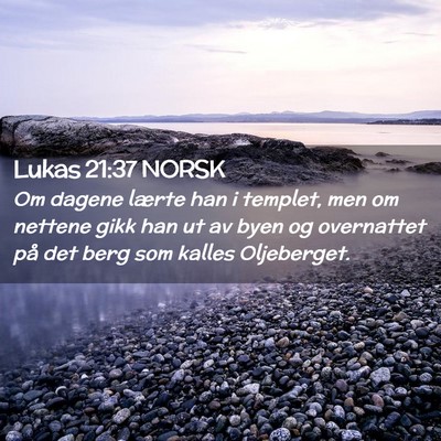 Picture 02 - Lukas 21:37 NORSK - Om dagene lærte han i templet, men om nettene - Bible Verse Picture