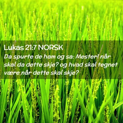 Picture 02 - Lukas 21:7 NORSK - Da spurte de ham og sa: Mester! når skal da - Bible Verse Picture