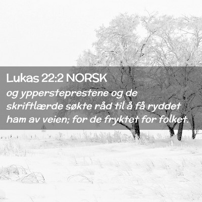 Picture 02 - Lukas 22:2 NORSK - og yppersteprestene og de skriftlærde søkte - Bible Verse Picture