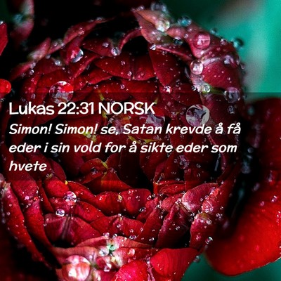 Picture 02 - Lukas 22:31 NORSK - Simon! Simon! se, Satan krevde å få eder i sin - Bible Verse Picture