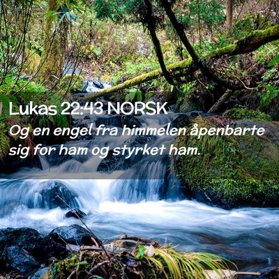 Picture 02 - Lukas 22:43 NORSK - Og en engel fra himmelen åpenbarte sig for ham - Bible Verse Picture