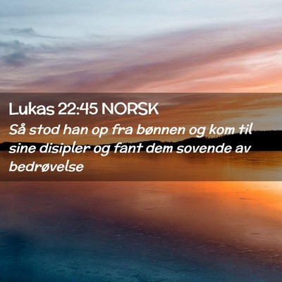 Picture 02 - Lukas 22:45 NORSK - Så stod han op fra bønnen og kom til sine - Bible Verse Picture