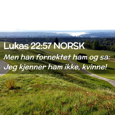 Picture 02 - Lukas 22:57 NORSK - Men han fornektet ham og sa: Jeg kjenner ham - Bible Verse Picture
