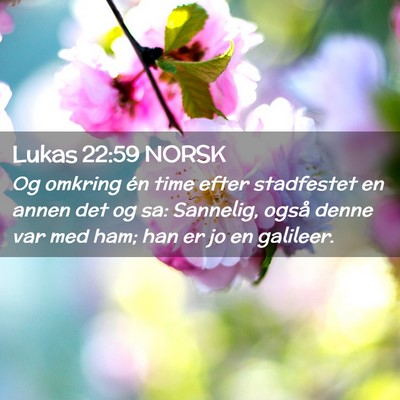 Picture 02 - Lukas 22:59 NORSK - Og omkring én time efter stadfestet en annen det - Bible Verse Picture
