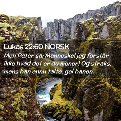 Picture 02 - Lukas 22:60 NORSK - Men Peter sa: Menneske! jeg forstår ikke hvad - Bible Verse Picture