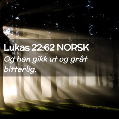 Picture 02 - Lukas 22:62 NORSK - Og han gikk ut og gråt - Bible Verse Picture