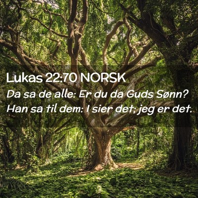 Picture 02 - Lukas 22:70 NORSK - Da sa de alle: Er du da Guds Sønn? Han sa til - Bible Verse Picture