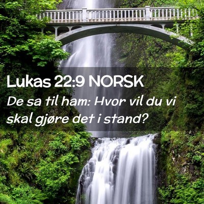 Picture 02 - Lukas 22:9 NORSK - De sa til ham: Hvor vil du vi skal gjøre det i - Bible Verse Picture