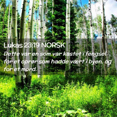 Picture 02 - Lukas 23:19 NORSK - Dette var en som var kastet i fengsel for et - Bible Verse Picture