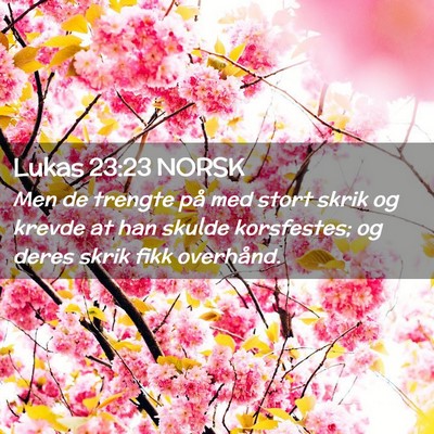 Picture 02 - Lukas 23:23 NORSK - Men de trengte på med stort skrik og krevde at - Bible Verse Picture