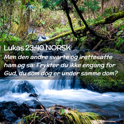 Picture 02 - Lukas 23:40 NORSK - Men den andre svarte og irettesatte ham og sa: - Bible Verse Picture