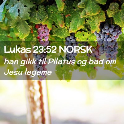 Picture 02 - Lukas 23:52 NORSK - han gikk til Pilatus og bad om Jesu - Bible Verse Picture