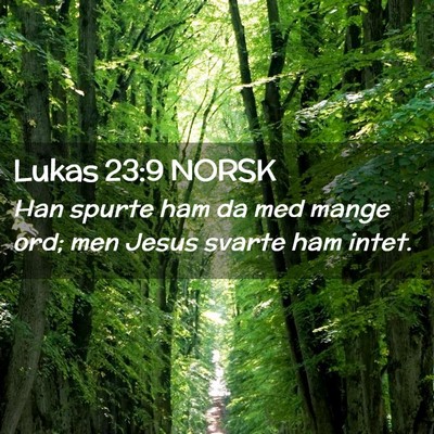 Picture 02 - Lukas 23:9 NORSK - Han spurte ham da med mange ord; men Jesus svarte - Bible Verse Picture