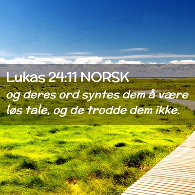 Picture 02 - Lukas 24:11 NORSK - og deres ord syntes dem å være løs tale, og de - Bible Verse Picture
