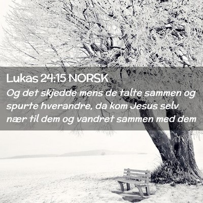 Picture 02 - Lukas 24:15 NORSK - Og det skjedde mens de talte sammen og spurte - Bible Verse Picture