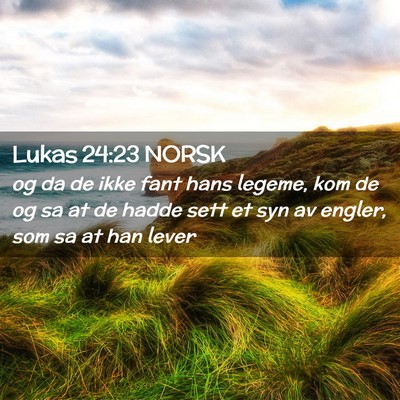 Picture 02 - Lukas 24:23 NORSK - og da de ikke fant hans legeme, kom de og sa at - Bible Verse Picture