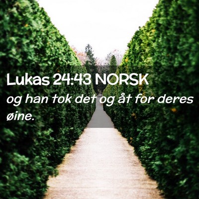 Picture 02 - Lukas 24:43 NORSK - og han tok det og åt for deres - Bible Verse Picture