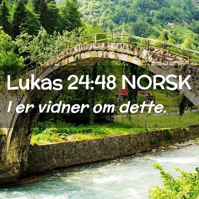 Picture 02 - Lukas 24:48 NORSK - I er vidner om - Bible Verse Picture