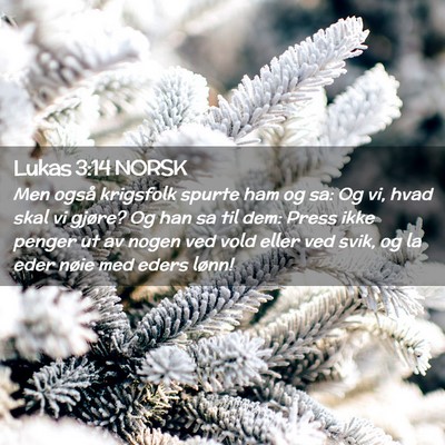 Picture 02 - Lukas 3:14 NORSK - Men også krigsfolk spurte ham og sa: Og vi, hvad - Bible Verse Picture