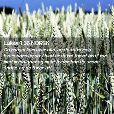 Picture 02 - Lukas 4:36 NORSK - Og redsel kom over alle, og de talte med - Bible Verse Picture