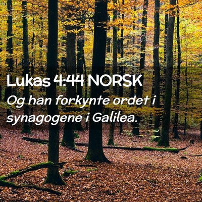 Picture 02 - Lukas 4:44 NORSK - Og han forkynte ordet i synagogene i - Bible Verse Picture