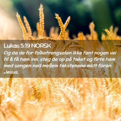Picture 02 - Lukas 5:19 NORSK - Og da de for folketrengselen ikke fant nogen vei - Bible Verse Picture