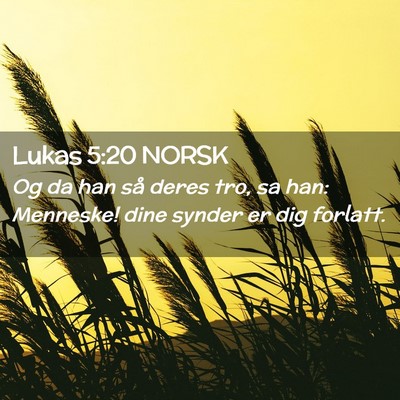 Picture 02 - Lukas 5:20 NORSK - Og da han så deres tro, sa han: Menneske! dine - Bible Verse Picture