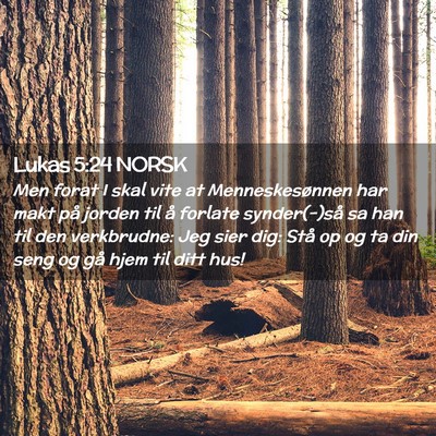 Picture 02 - Lukas 5:24 NORSK - Men forat I skal vite at Menneskesønnen har makt - Bible Verse Picture