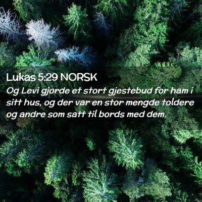 Picture 02 - Lukas 5:29 NORSK - Og Levi gjorde et stort gjestebud for ham i sitt - Bible Verse Picture