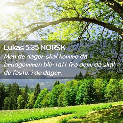 Picture 02 - Lukas 5:35 NORSK - Men de dager skal komme da brudgommen blir tatt - Bible Verse Picture