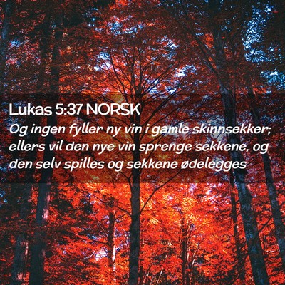 Picture 02 - Lukas 5:37 NORSK - Og ingen fyller ny vin i gamle skinnsekker; - Bible Verse Picture