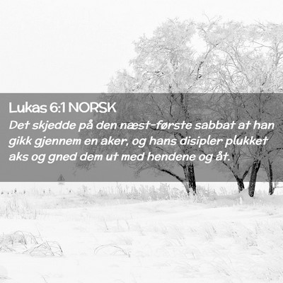 Picture 02 - Lukas 6:1 NORSK - Det skjedde på den næst-første sabbat at han - Bible Verse Picture