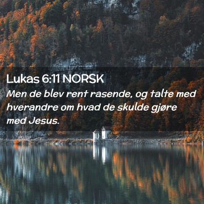 Picture 02 - Lukas 6:11 NORSK - Men de blev rent rasende, og talte med hverandre - Bible Verse Picture