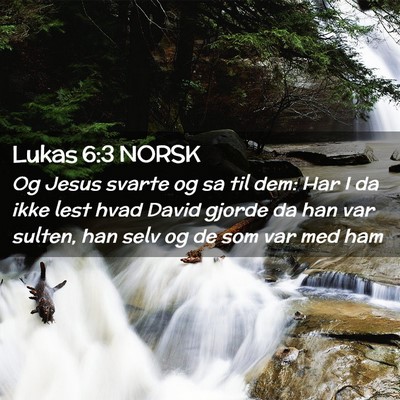 Picture 02 - Lukas 6:3 NORSK - Og Jesus svarte og sa til dem: Har I da ikke lest - Bible Verse Picture