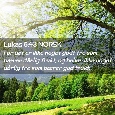 Picture 02 - Lukas 6:43 NORSK - For det er ikke noget godt tre som bærer dårlig - Bible Verse Picture