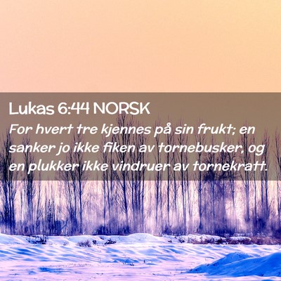 Picture 02 - Lukas 6:44 NORSK - For hvert tre kjennes på sin frukt; en sanker jo - Bible Verse Picture