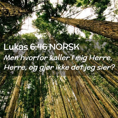 Picture 02 - Lukas 6:46 NORSK - Men hvorfor kaller I mig Herre, Herre, og gjør - Bible Verse Picture