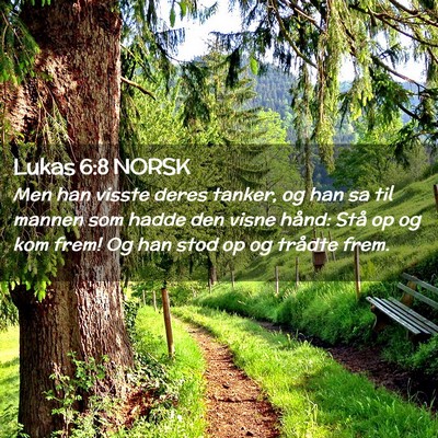Picture 02 - Lukas 6:8 NORSK - Men han visste deres tanker, og han sa til mannen - Bible Verse Picture