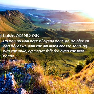 Picture 02 - Lukas 7:12 NORSK - Da han nu kom nær til byens port, se, da blev en - Bible Verse Picture