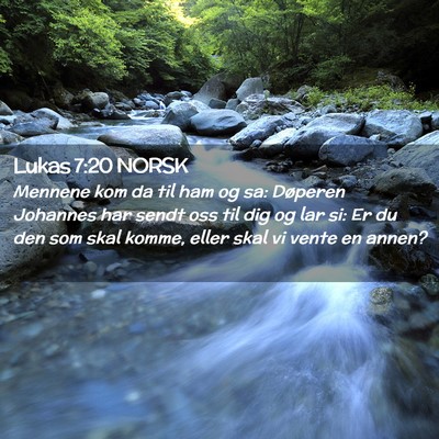 Picture 02 - Lukas 7:20 NORSK - Mennene kom da til ham og sa: Døperen Johannes - Bible Verse Picture