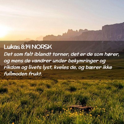 Picture 02 - Lukas 8:14 NORSK - Det som falt iblandt torner, det er de som - Bible Verse Picture