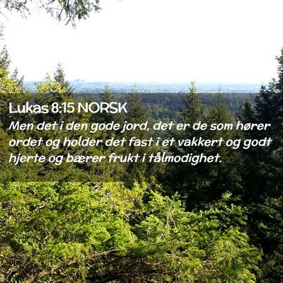 Picture 02 - Lukas 8:15 NORSK - Men det i den gode jord, det er de som hører - Bible Verse Picture