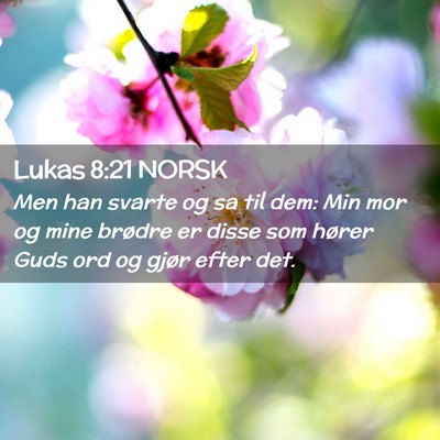 Picture 02 - Lukas 8:21 NORSK - Men han svarte og sa til dem: Min mor og mine - Bible Verse Picture