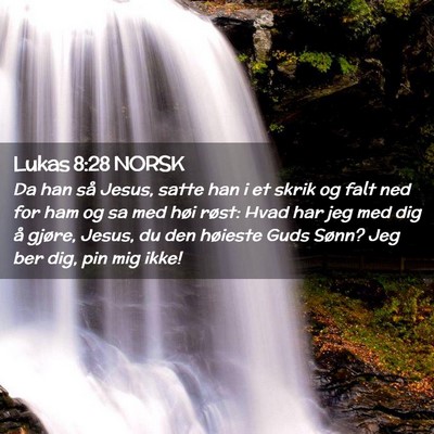 Picture 02 - Lukas 8:28 NORSK - Da han så Jesus, satte han i et skrik og falt - Bible Verse Picture