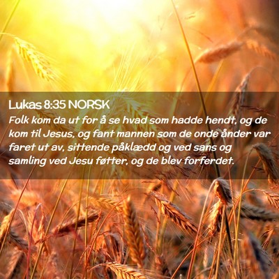 Picture 02 - Lukas 8:35 NORSK - Folk kom da ut for å se hvad som hadde hendt, og - Bible Verse Picture