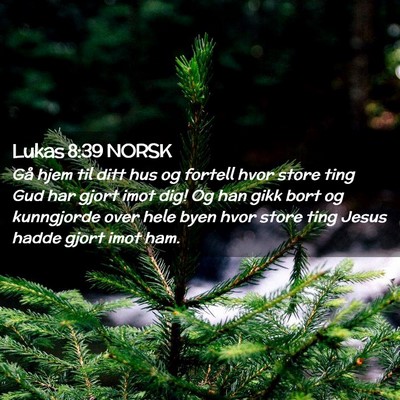 Picture 02 - Lukas 8:39 NORSK - Gå hjem til ditt hus og fortell hvor store ting - Bible Verse Picture