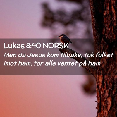 Picture 02 - Lukas 8:40 NORSK - Men da Jesus kom tilbake, tok folket imot ham; - Bible Verse Picture