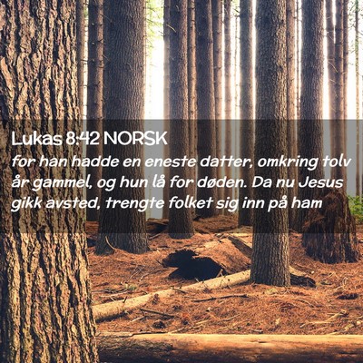 Picture 02 - Lukas 8:42 NORSK - for han hadde en eneste datter, omkring tolv år - Bible Verse Picture